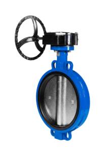 Затворы чугунные