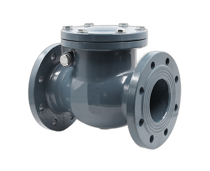 Клапан обратный поворотный 19лс53нж DN 65 PN 16