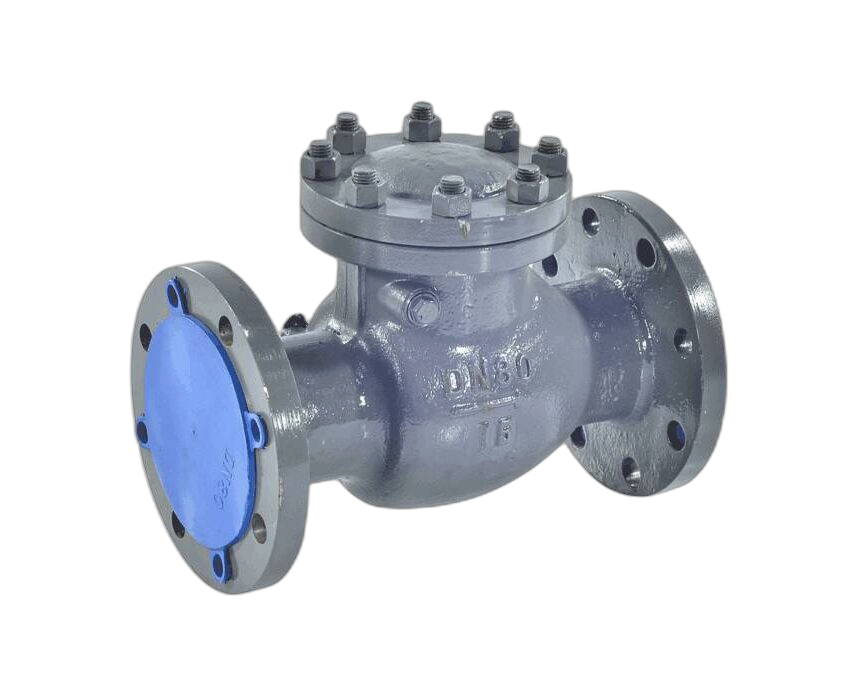 Клапан обратный поворотный 19с76нж DN 300 PN 16